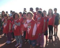 Imagem destaque do post