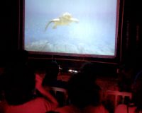 Imagem destaque do post