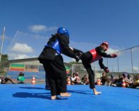 Imagem destaque do post