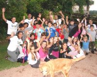 Imagem destaque do post