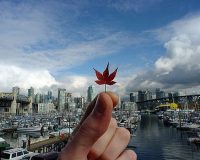 Imagem destaque do post