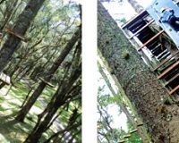 Imagem destaque do post