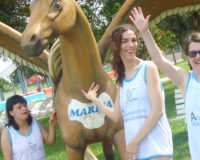 Imagem destaque do post