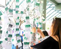 Imagem destaque do post