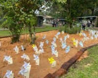 Imagem destaque do post