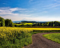 Imagem destaque do post