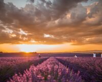 Imagem destaque do post