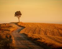 Imagem destaque do post